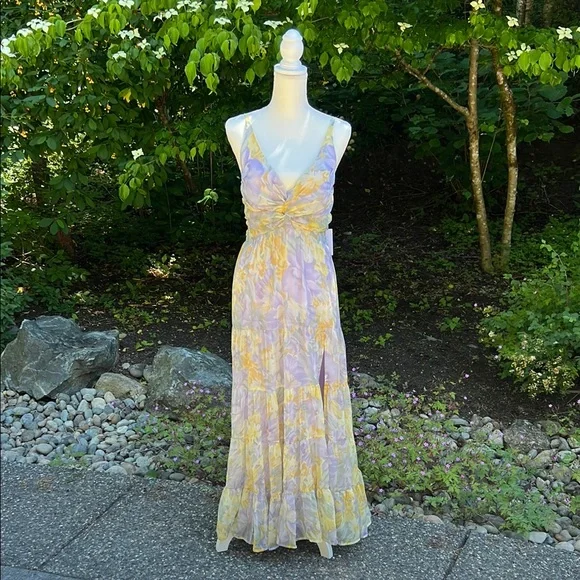 Astr | Dresses | Astr The Label Elsa Floral Maxi Dress | Poshmark